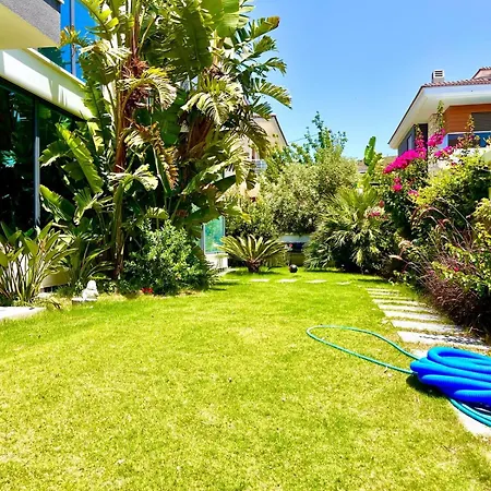 In A Modern With A Private Pool In Villa