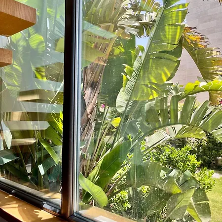 In A Modern With A Private Pool In Cesme