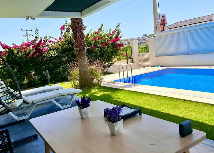 In A Modern With A Private Pool In Villa
